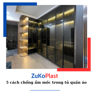 5 cách chổng ẩm mốc trong tủ quần áo